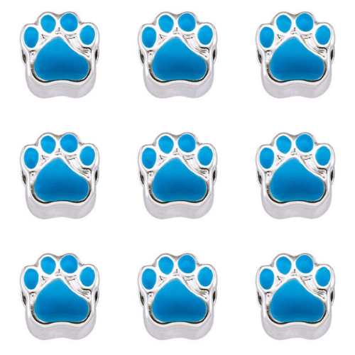 Charm Blue Paws