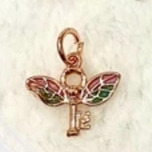 Chiave Charm Libellula