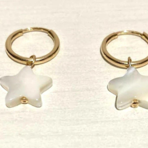 Earrings Elegant Gold White Star